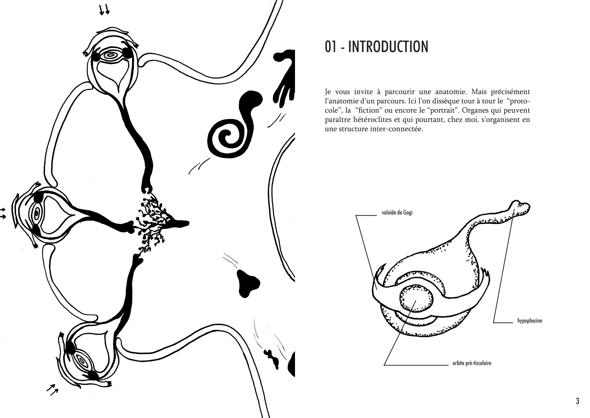 Anatomie d