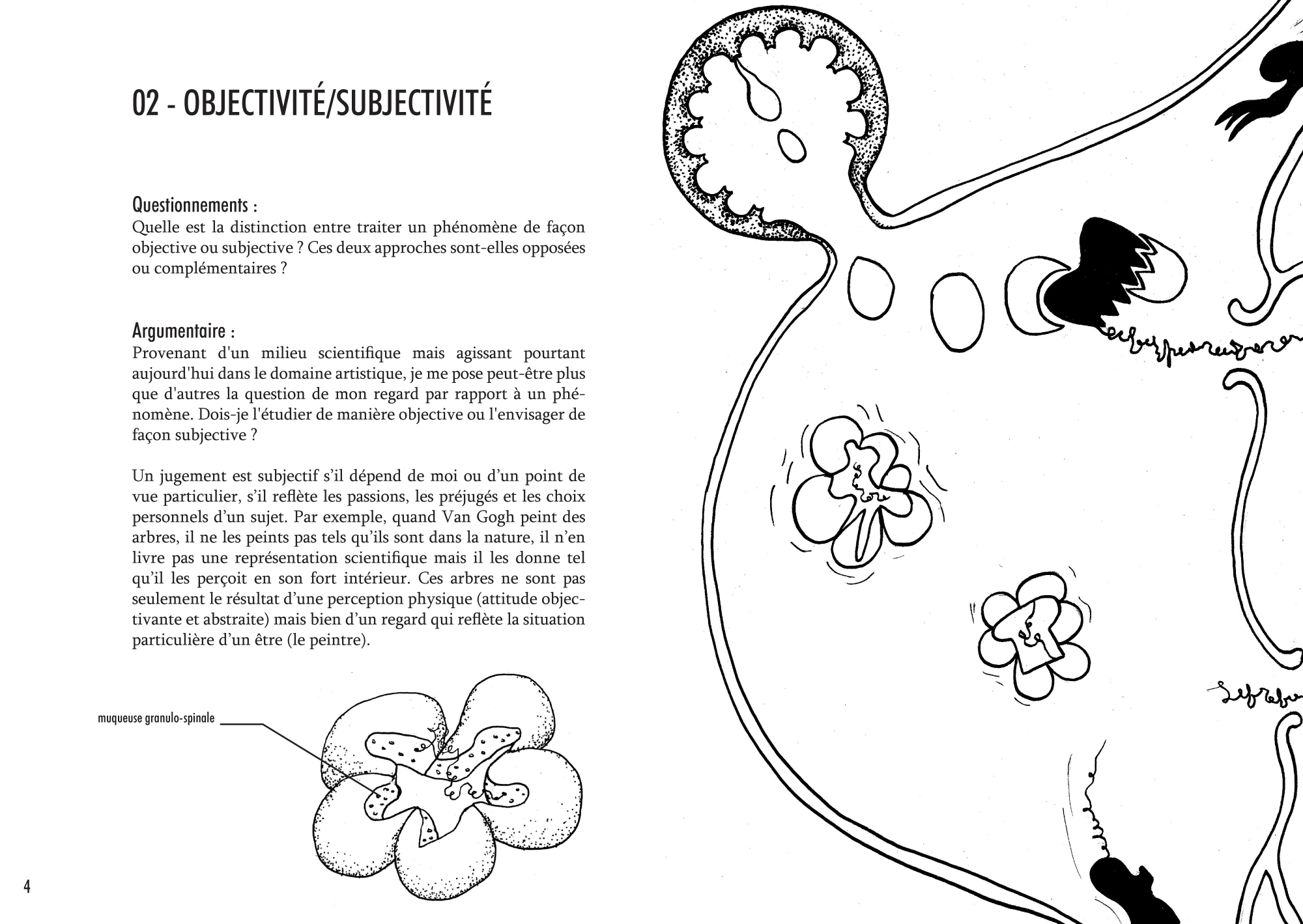 Anatomie d