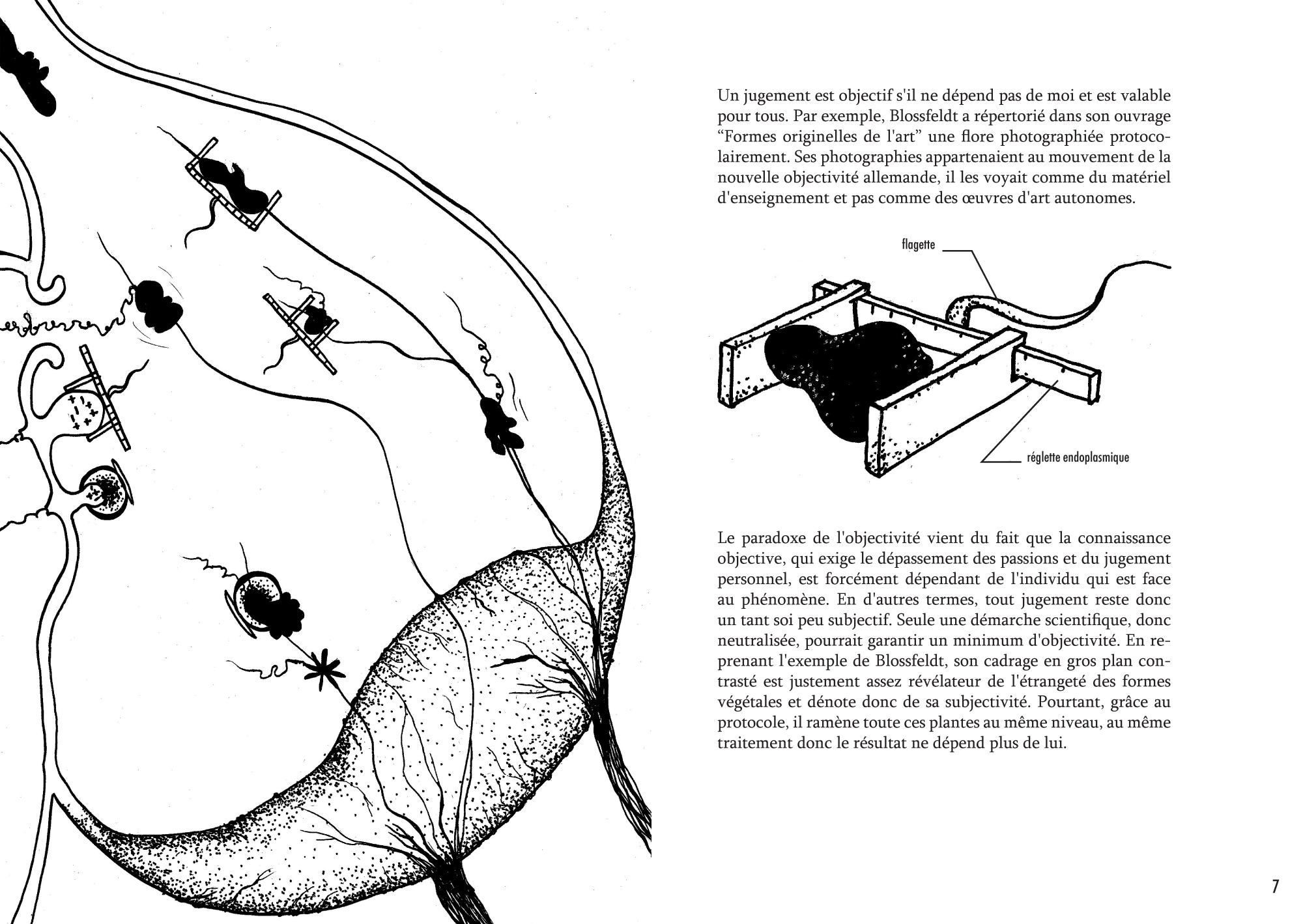 Anatomie d