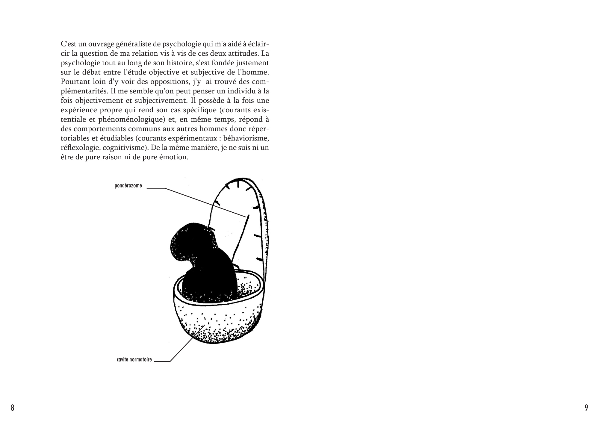 Anatomie d