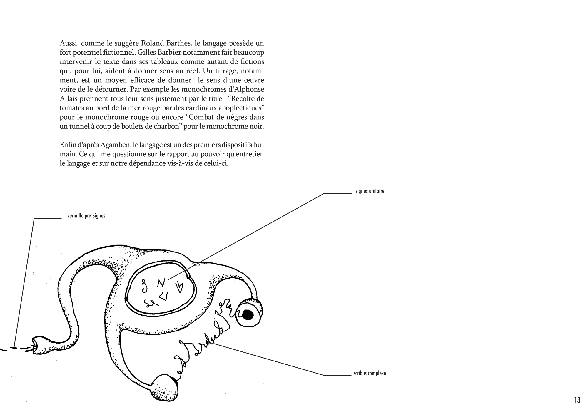 Anatomie d