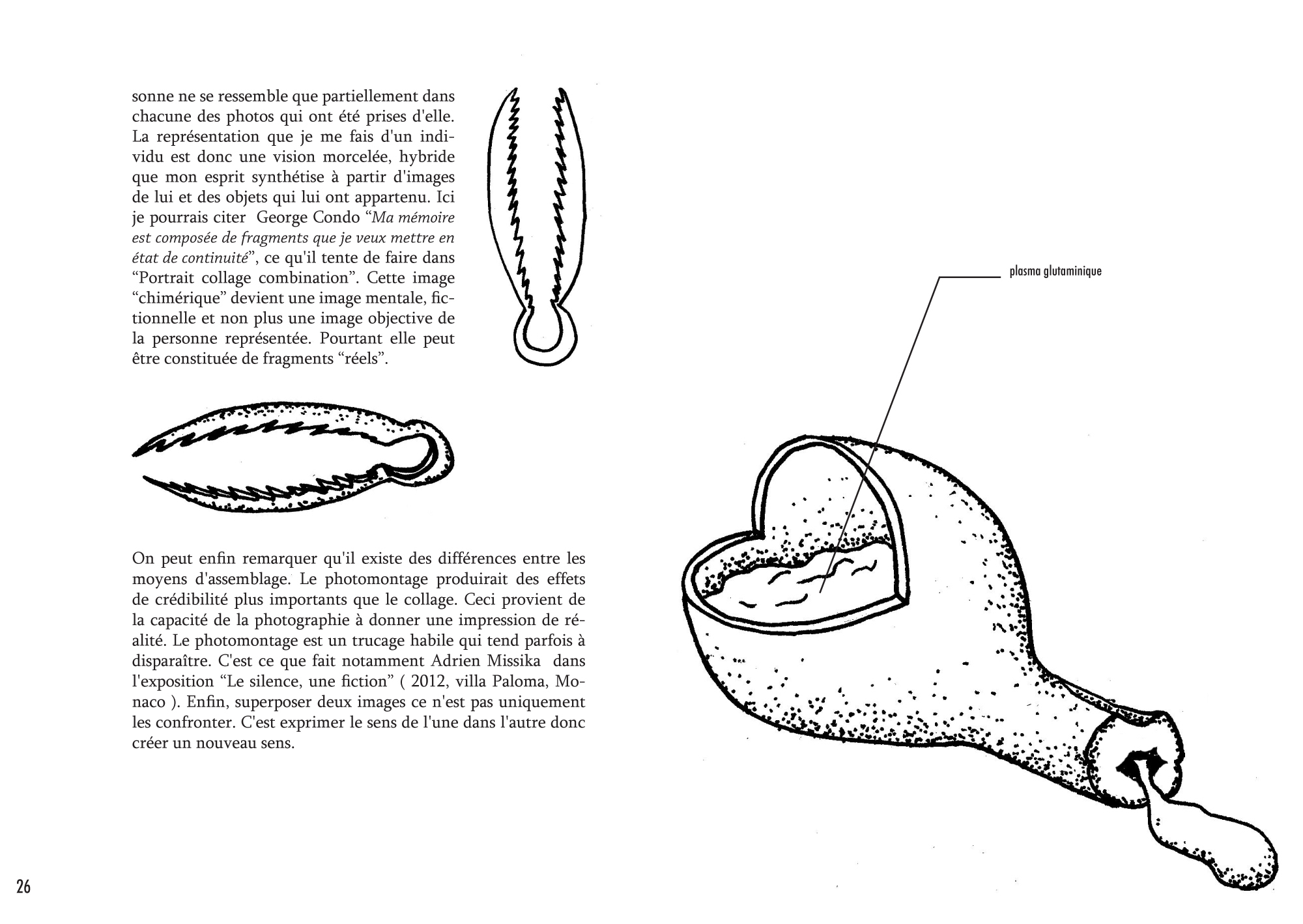 Anatomie d