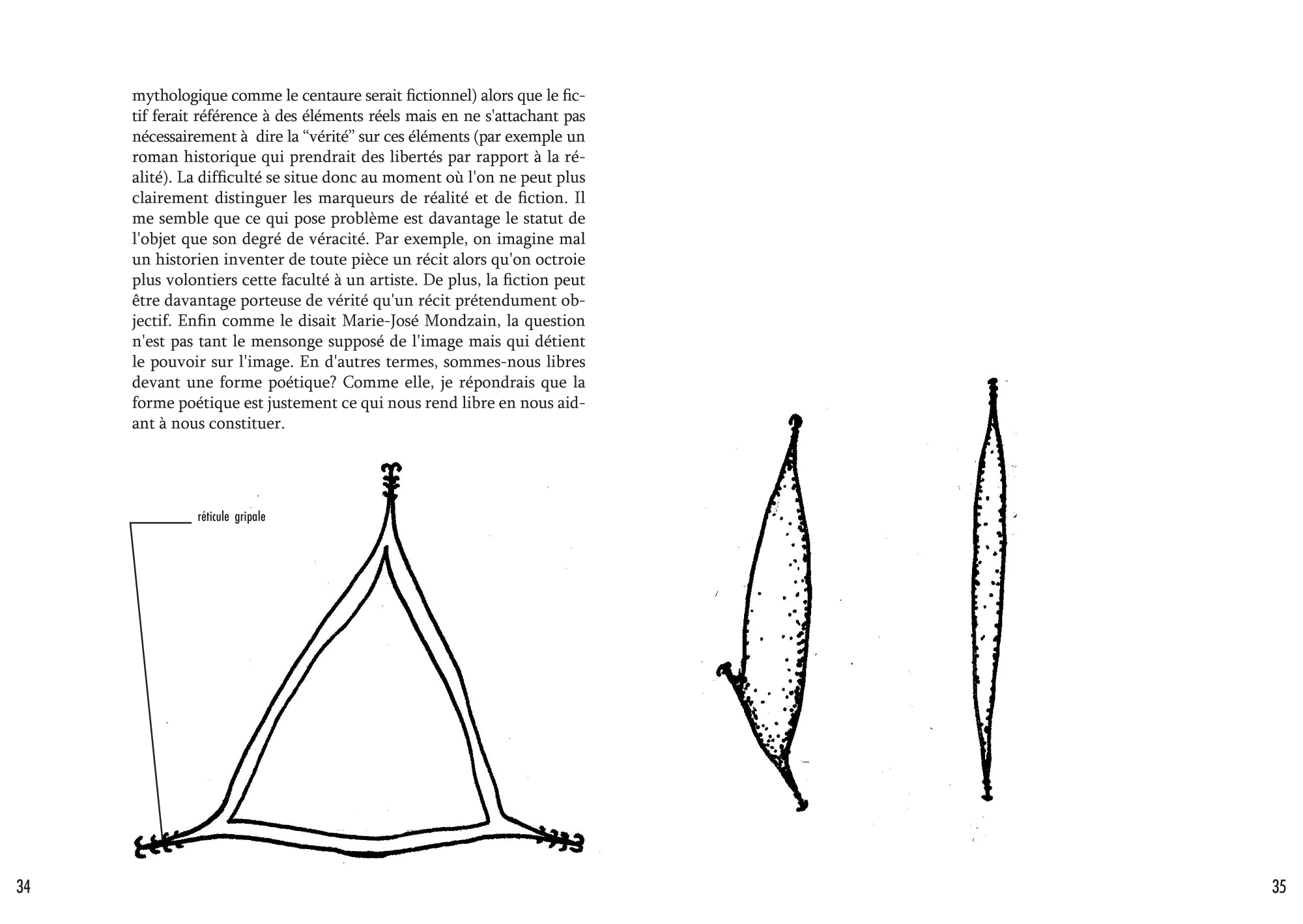 Anatomie d