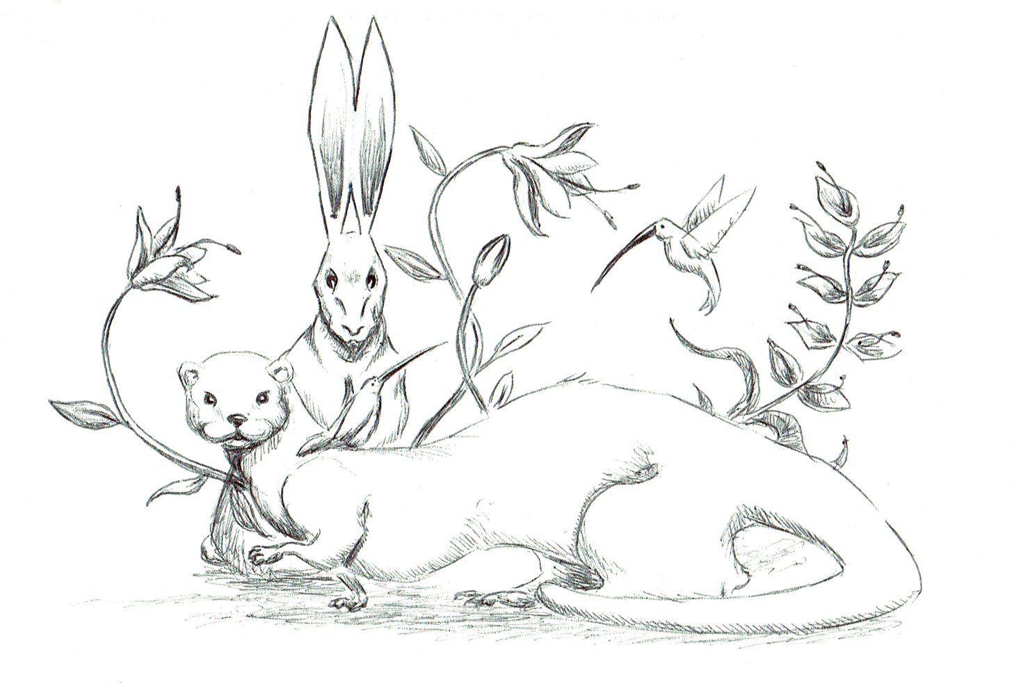 Animaux-14