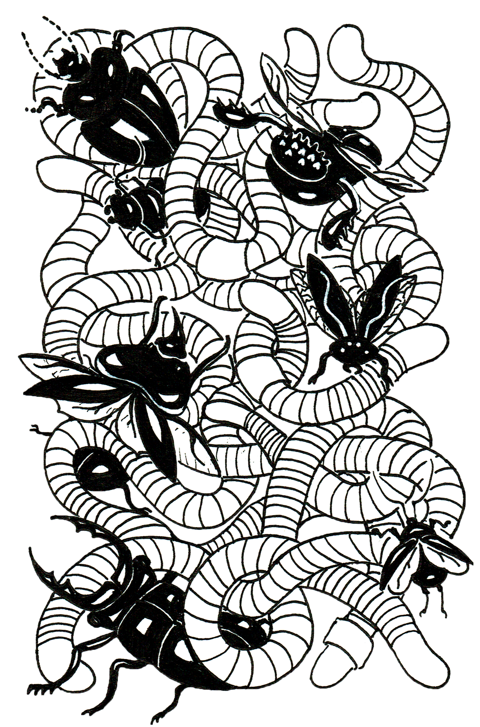 Animaux-15