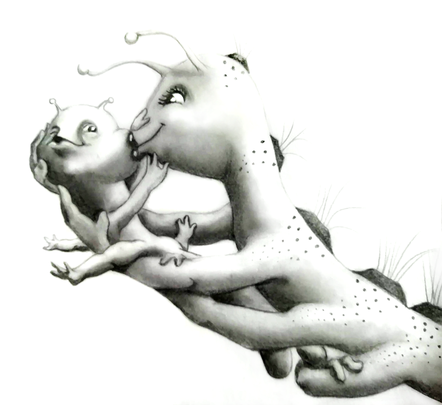 Animaux-8