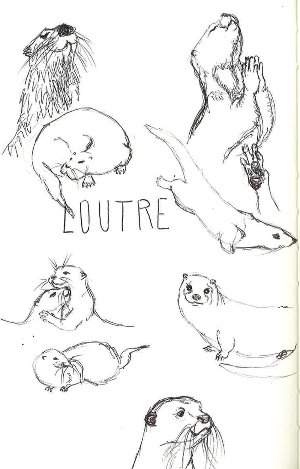Animaux-1