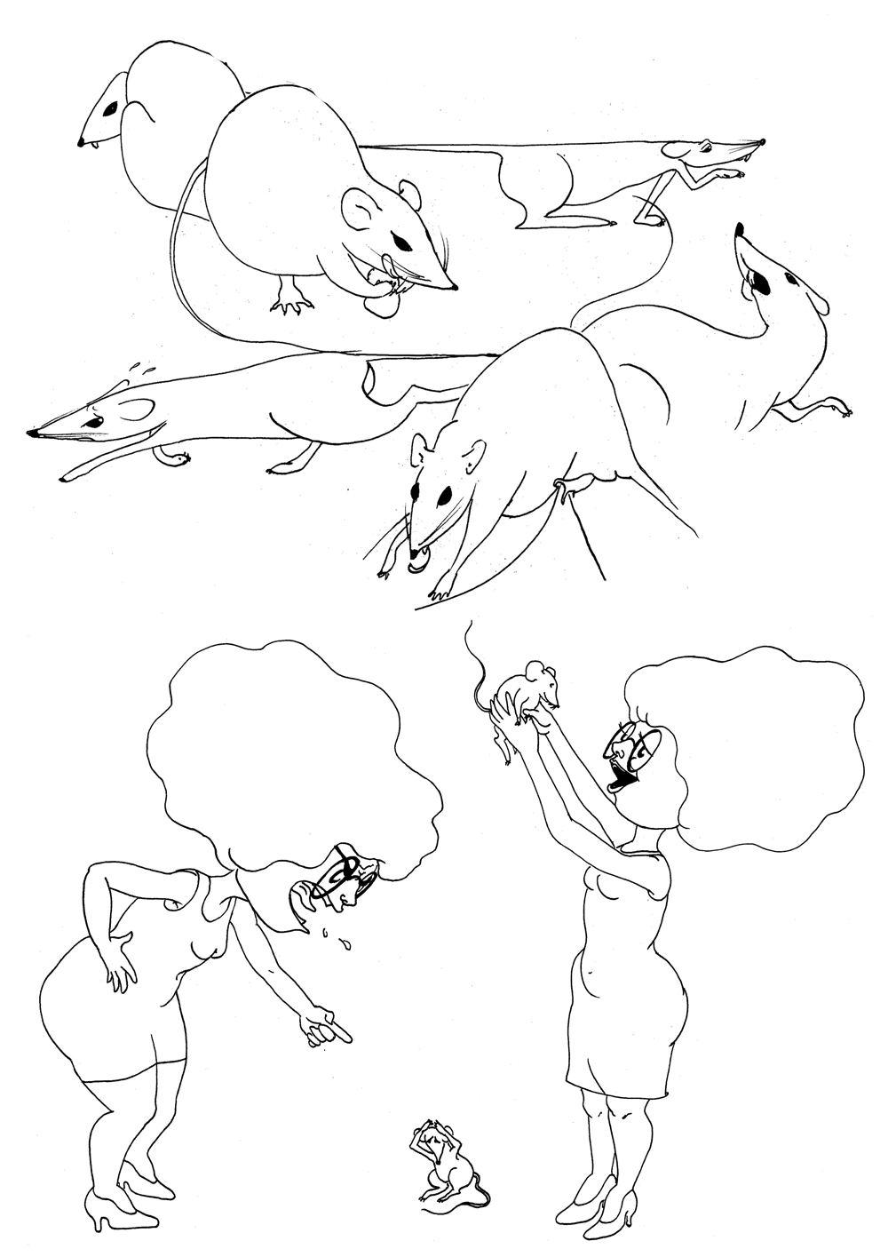 Animaux-5