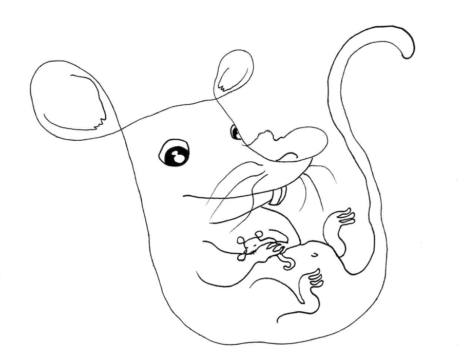 Dessins ficelle-5