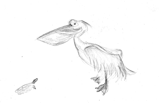 Animaux